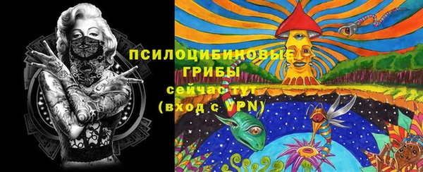 спиды Алексеевка