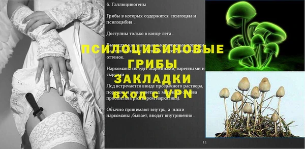круглые Алзамай