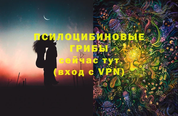 круглые Алзамай