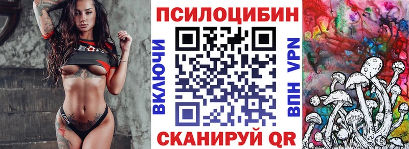 Псилоцибиновые грибы Cubensis  Кашин 