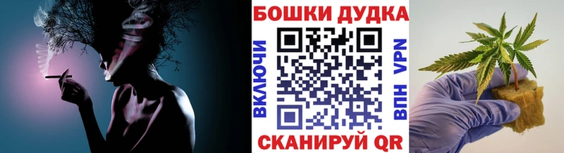 Бошки Шишки ГИДРОПОН  Кашин 